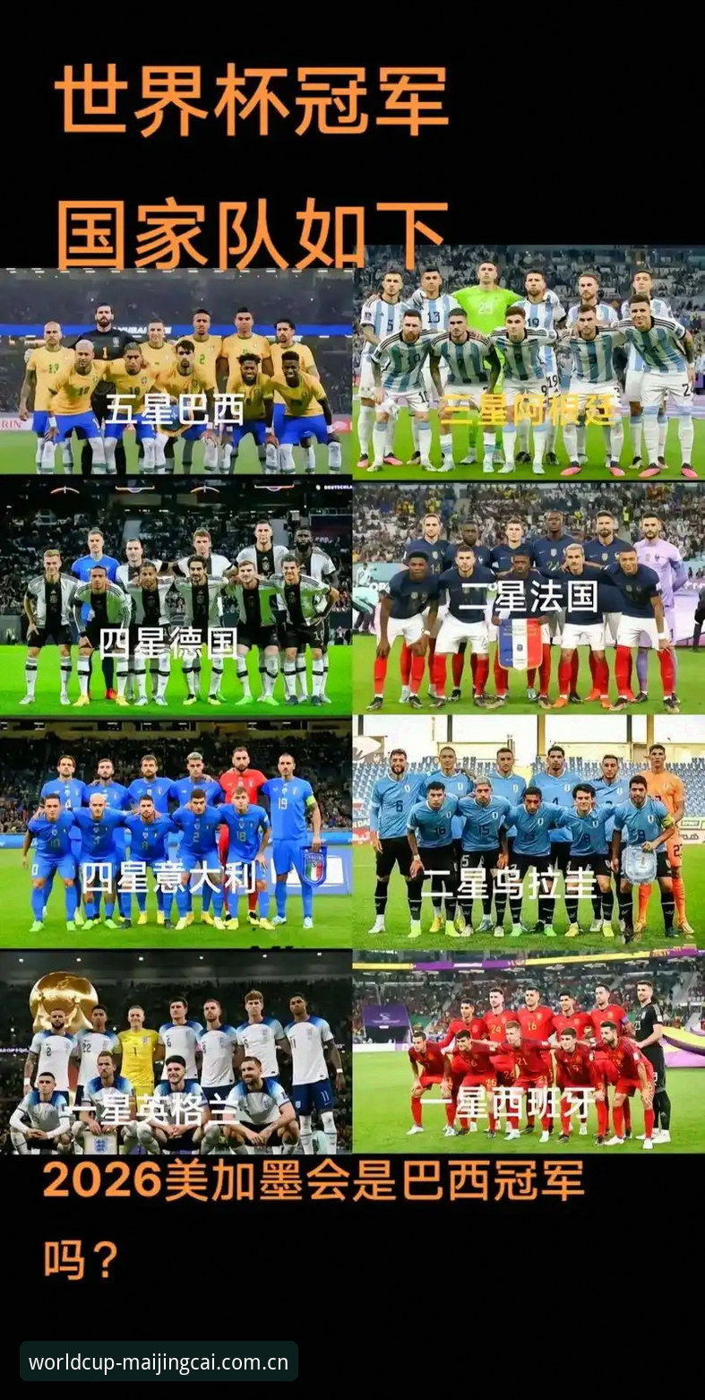 世界杯观赛vs签证困境：2026年赛事国际客流对比分析