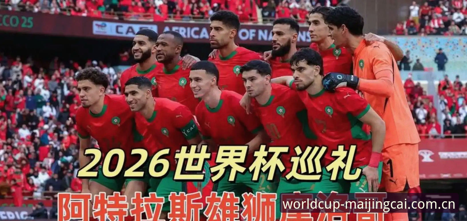 资深用户实测分享：2026世界杯竞猜助手对比，买竞猜世界使用心得全解析